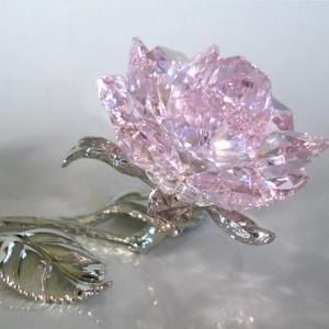 Meet your Posher, Audrey